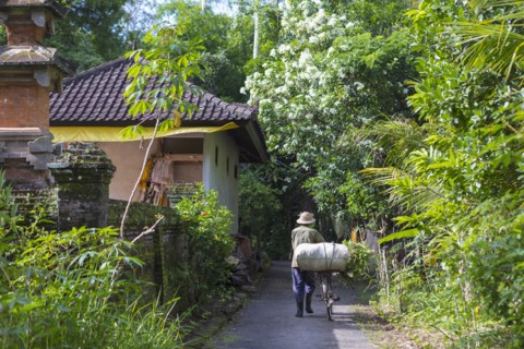 Man pushing bicycle on tropical path