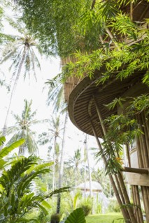 Treehouse in tropical garden