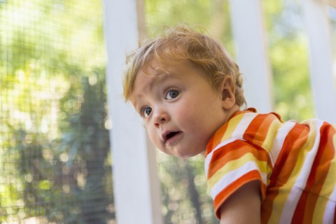 Caucasian toddler peering out screen fence