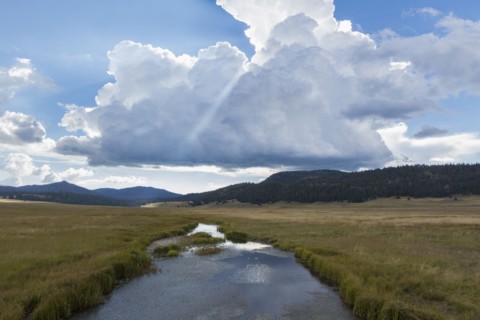 Still river and grassy field in remote landscape