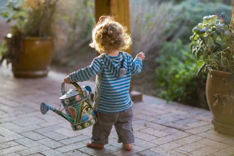Caucasian baby carrying watering can