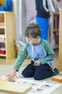 Boy arranging cards on floor in classroom