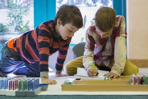 Caucasian boys working together in classroom