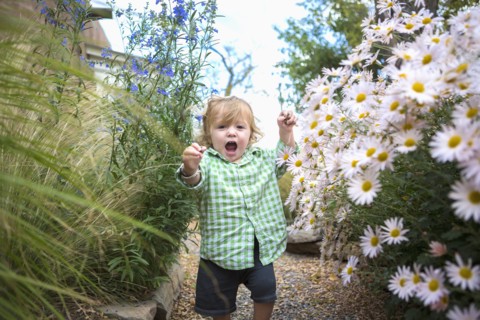 Caucasian baby boy walking in garden