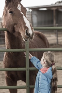 Caucasian girl petting horse on ranch