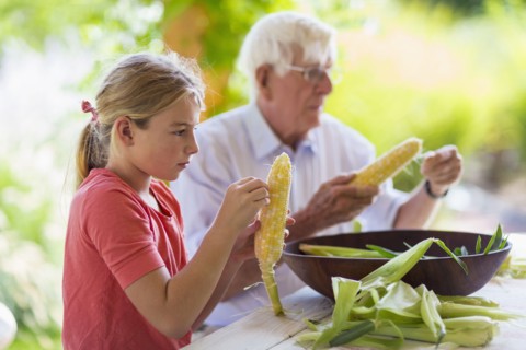 Caucasian grandfather and granddaughter shucking corn