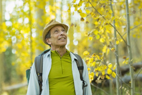 Man exploring autumn forest