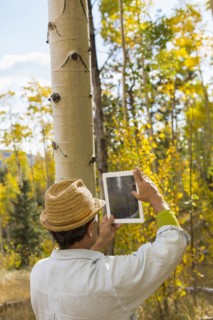 Man photographing with digital tablet in autumn forest