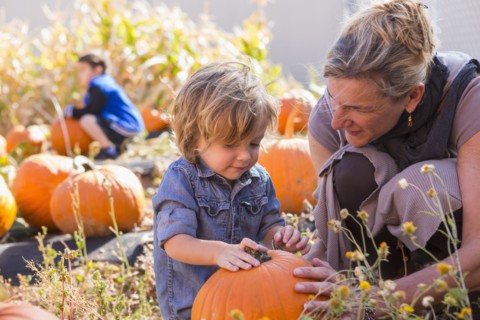 Caucasian mother and son in pumpkin patch