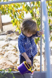 Caucasian boy watering plants in backyard