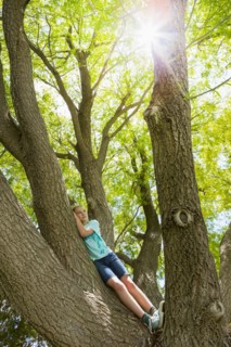 Caucasian girl climbing tree