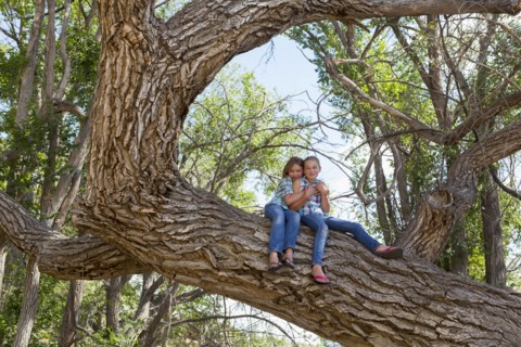 Caucasian girls hugging and sitting in tree