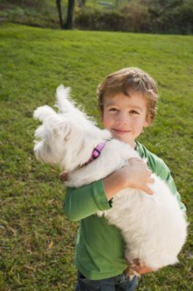 Mixed race boy holding small dog