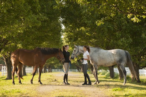 Caucasian girls walking horses on dirt path
