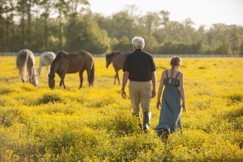 Caucasian man and granddaughter in field with horses
