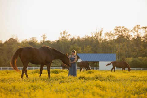 Caucasian girl petting horse in field