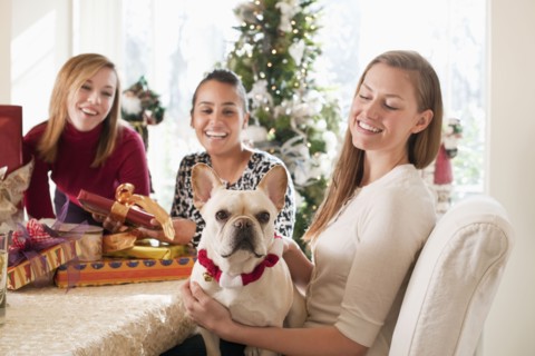 Friends and dog celebrating Christmas