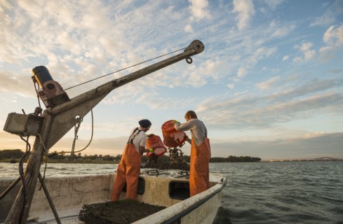 Caucasian fishermen throwing bait into water