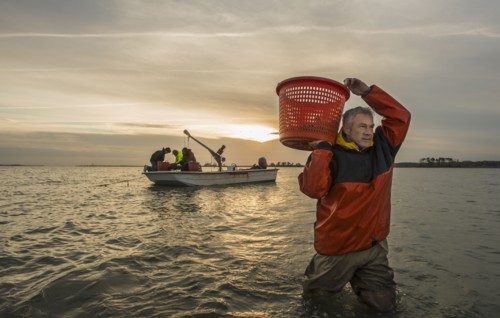 Caucasian fisherman carrying basket in water