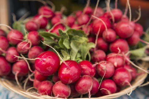 Close up of bunches of radishes