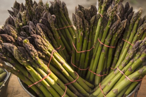 Close up of bunches of asparagus