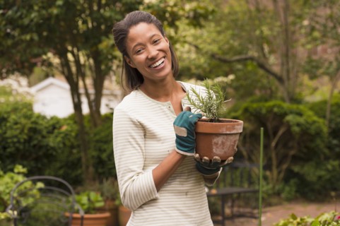 African American woman gardening in backyard