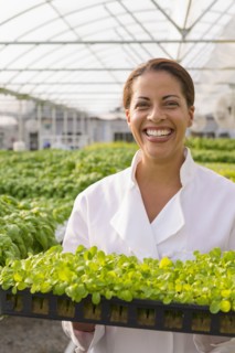 Black chef standing in greenhouse holding tray of plants