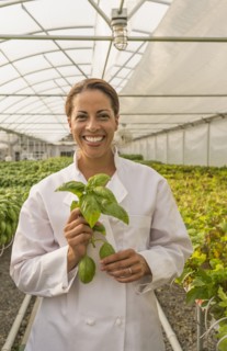 Black chef holding basil leaves in greenhouse
