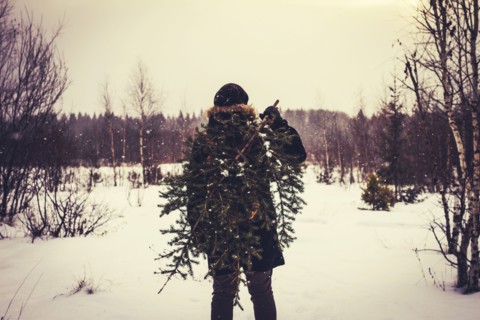 Caucasian man carrying tree in snowy field
