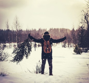 Caucasian man carrying tree in snowy field