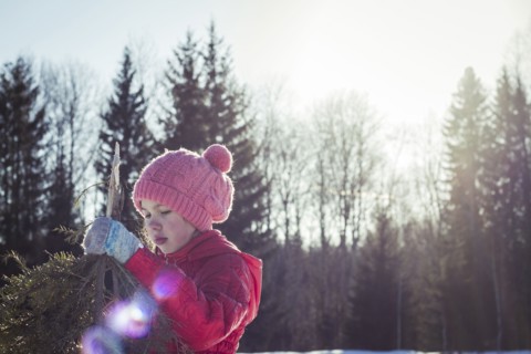 Caucasian girl holding tree branches in snowy field