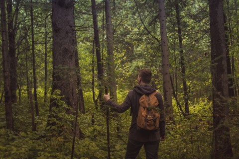 Caucasian man walking in forest
