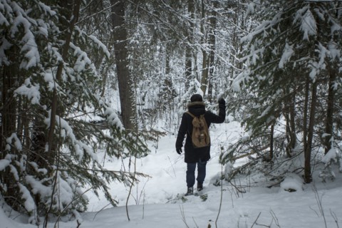 Caucasian hiker walking in snowy forest