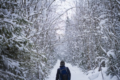 Caucasian hiker walking in snowy forest