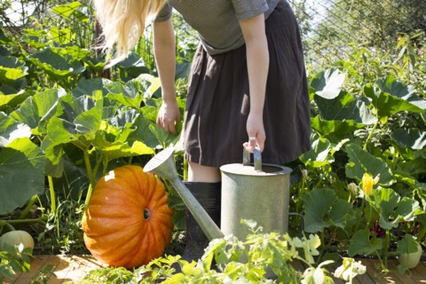 Caucasian woman carrying watering can in garden near pumpkin