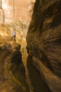 Persian woman hiking near canyon stream