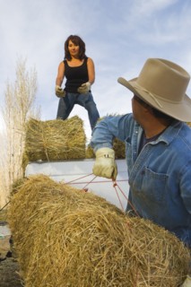 Hispanic couple loading hay