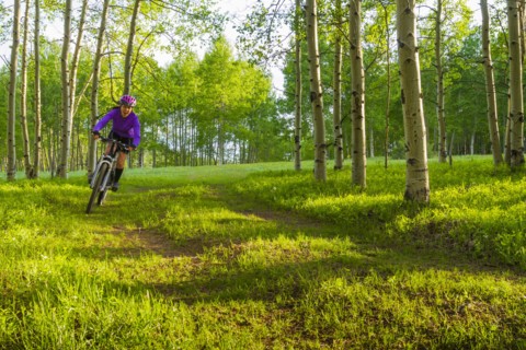 Hispanic teenager riding bicycle in woods