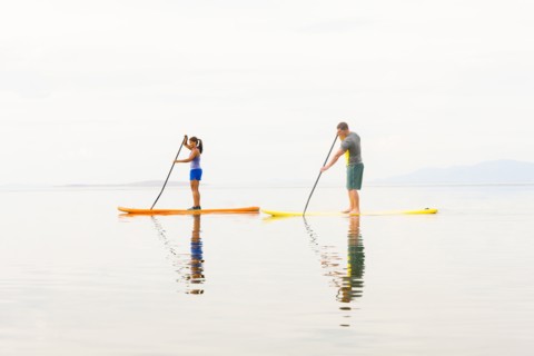 Couple riding paddle boards