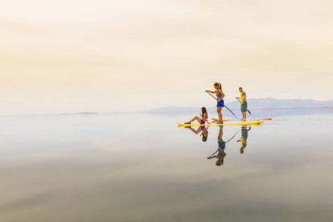 Family riding paddle boards