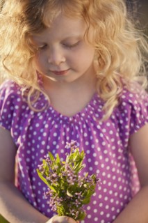 Caucasian girl picking flowers