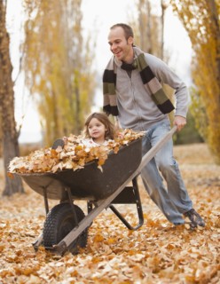 Caucasian father pushing daughter and autumn leaves in wheelbarrow