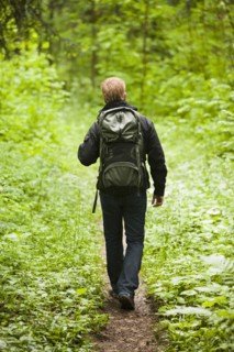 Caucasian man hiking in woods