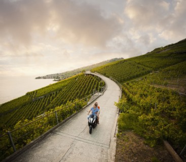 Couple riding scooter in vineyard