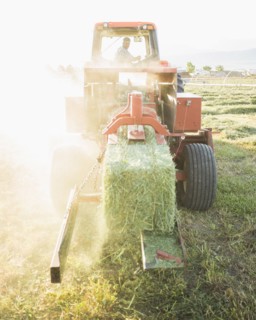 Caucasian farmer driving tractor