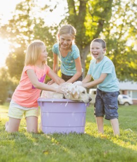 Caucasian children washing pet dog in backyard