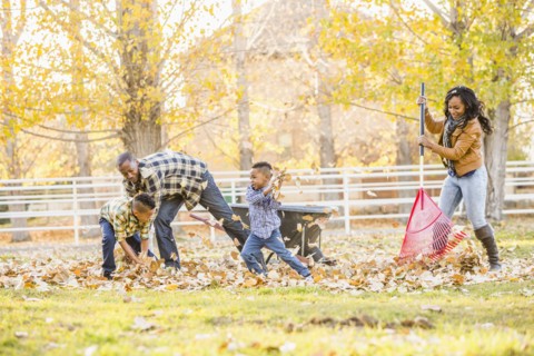 Family raking autumn leaves together