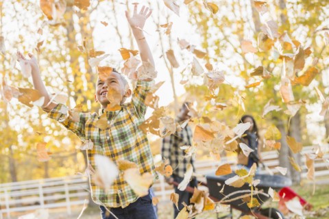 Boy playing in autumn leaves