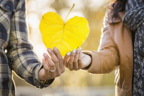 Close up of Black couple holding heart shaped leaf