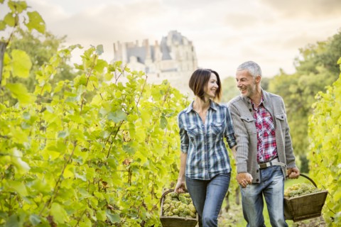 Caucasian farmers carrying grapes in vineyard